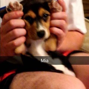 Meet your Posher, Matthew